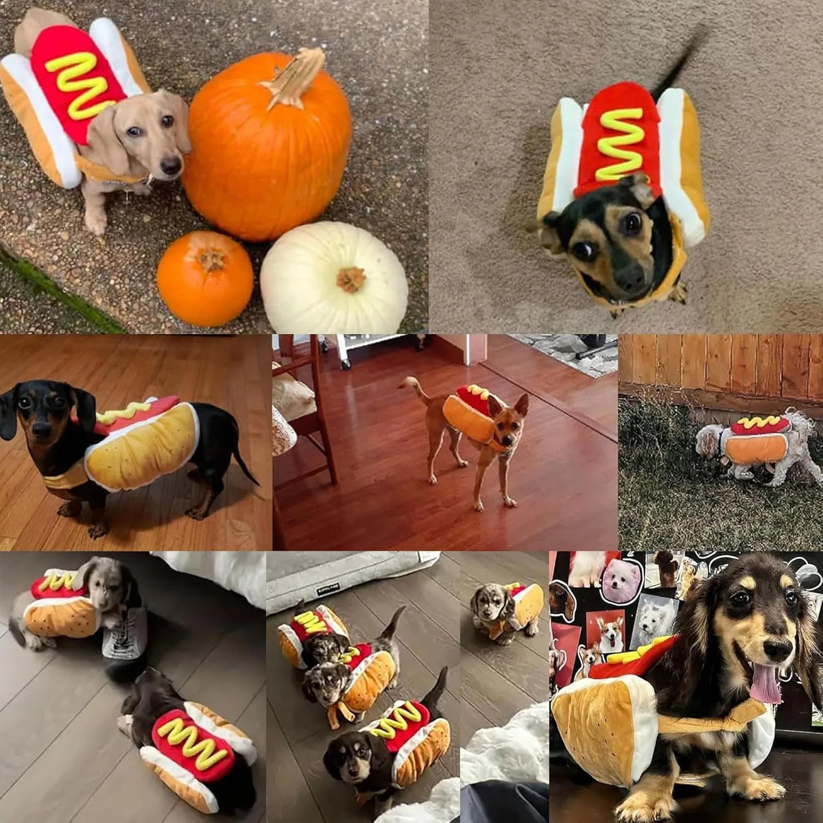 Costume Hot Dog per Cani – Travestimento Salsiccia Divertente per Halloween e Feste