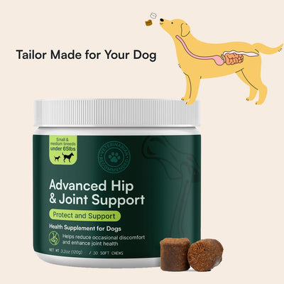 Advanced Hip & Joint Support – Integratore Articolazioni Cani con Glucosamina, MSM e Omega-3 – Soft Chews