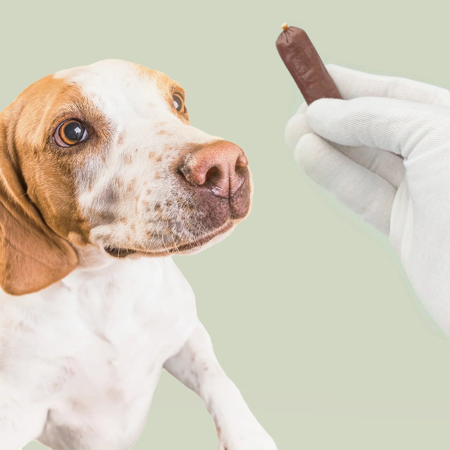 Salsicce Essiccate all’Anatra per Cani MERSJO 500 g – Snack con 90% Anatra