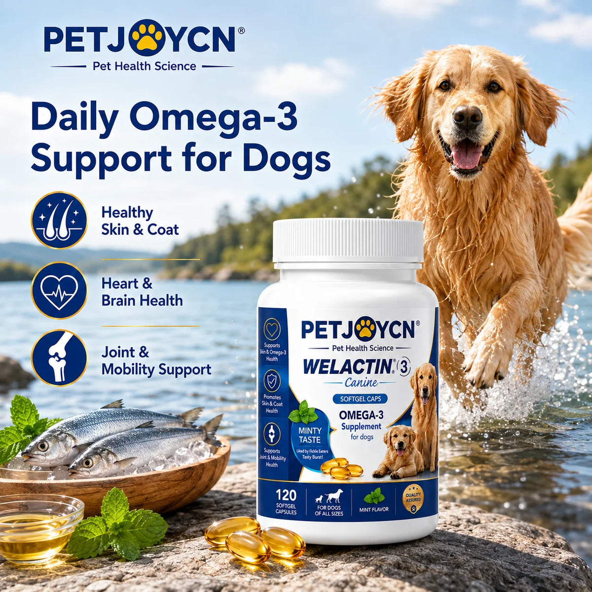 Integratore Omega-3 per Cani con EPA e DHA – Olio di Pesce, 120 Softgel