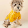 Impermeabile Riflettente per Cani Piccoli con Cappuccio – Mantella Antipioggia in PU S-XL