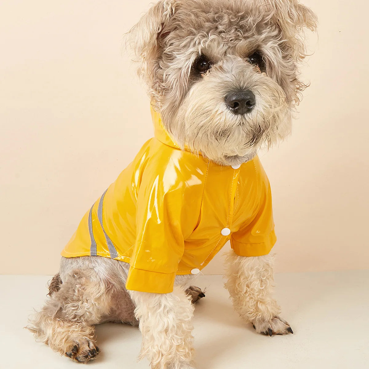 Impermeabile Riflettente per Cani Piccoli con Cappuccio – Mantella Antipioggia in PU S-XL