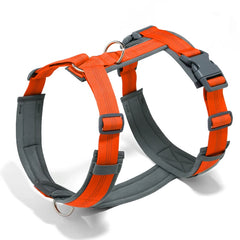 Pettorina ad H per Cani Regolabile, Imbottita e Riflettente | XS-XL – Orange