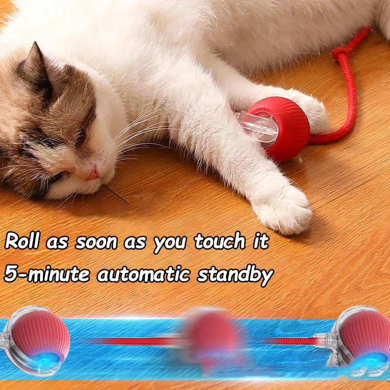 Pallina Interattiva Intelligente per Gatti – Gioco Elettrico Automatico Ricaricabile USB-C in Silicone e ABS con Effetto Coda e Movimento Antistacolo
