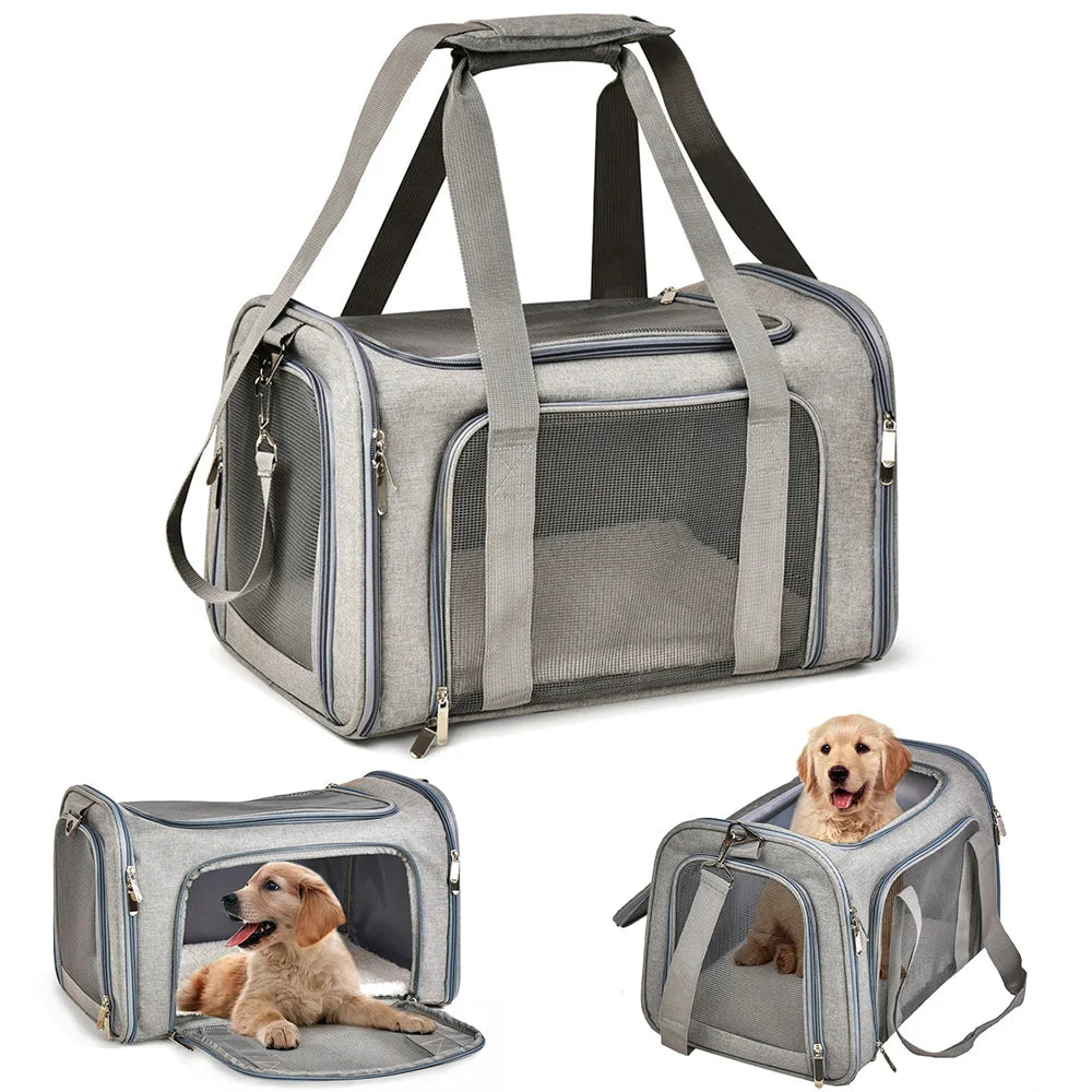 Trasportino Morbido per Cani e Gatti Omologato per Aereo – Borsa da Viaggio Impermeabile con Rete Antigraffio, Tracolla e Cuscino in Pile Removibile