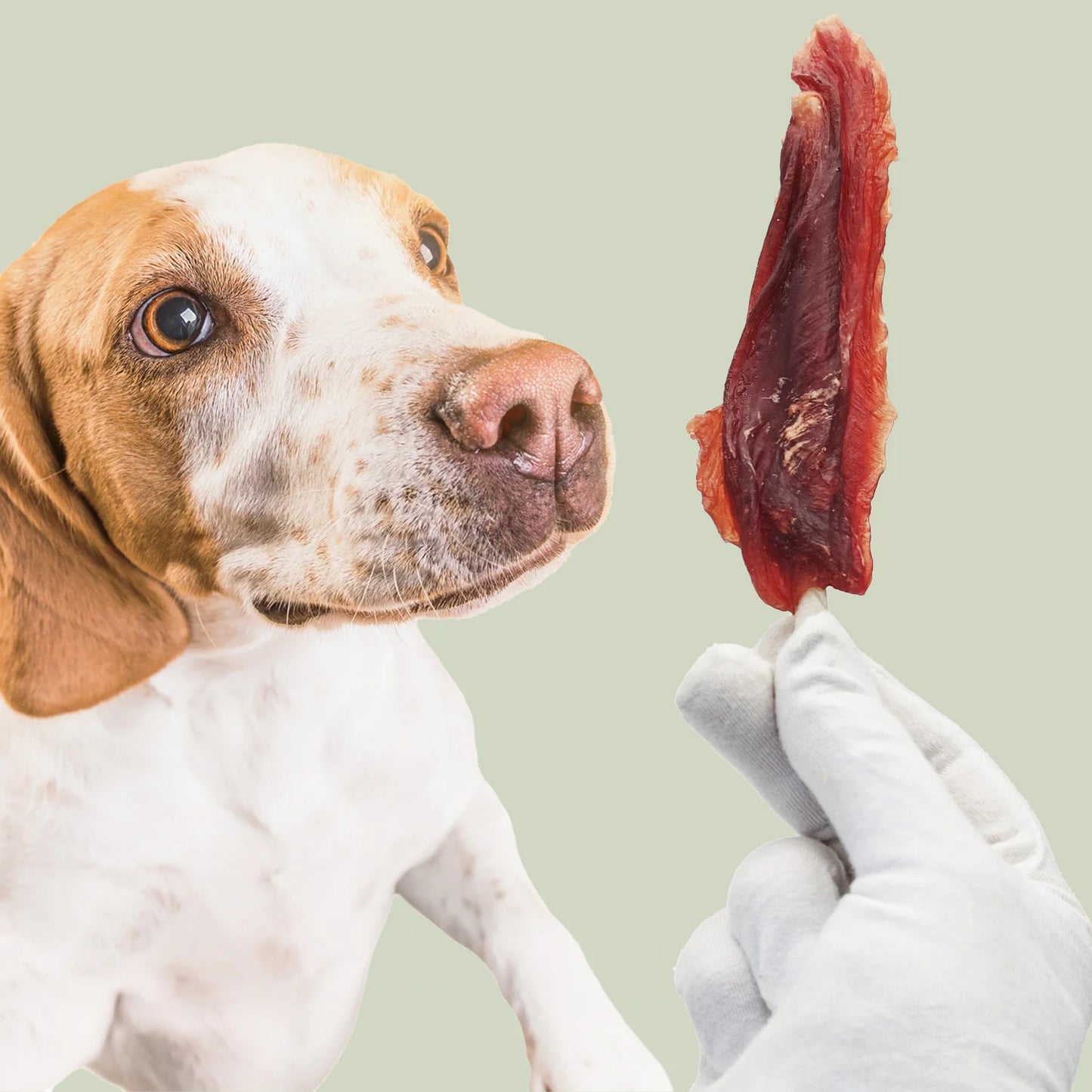Bastoncini Masticativi per Cani con Anatra Mersjo 500 g – 61% Anatra