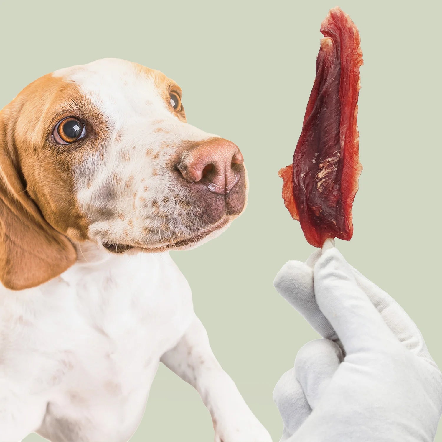 Bastoncini Masticativi per Cani con Anatra Mersjo 500 g – 61% Anatra