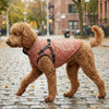 Cappotto Invernale per Cani con Pettorina Riflettente – Imbottito e Caldo in Pile S-2XL