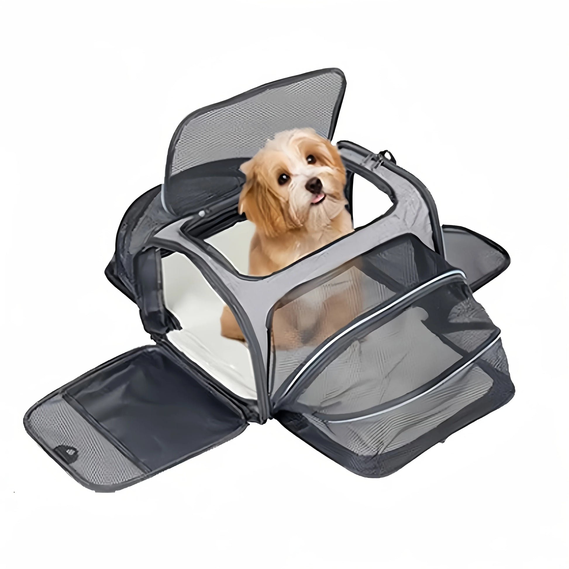 Trasportino Espandibile per Cani Piccoli e Gatti – Borsa Pieghevole Traspirante S/L