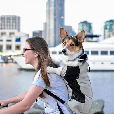 Zaino Porta Cane Professionale in Nylon Rinforzato – Trasportino da Spalla ad Alta Traspirabilità per Cani Piccoli e Medi, Ideale per Trekking, Outdoor e Ciclismo - Partenopet