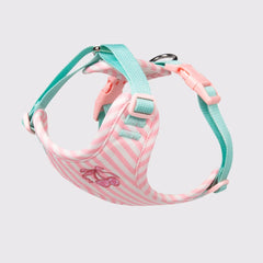 Set Pettorina e Guinzaglio per Cani Regolabile e Imbottita | Design Fashion XS-L – pink harness only