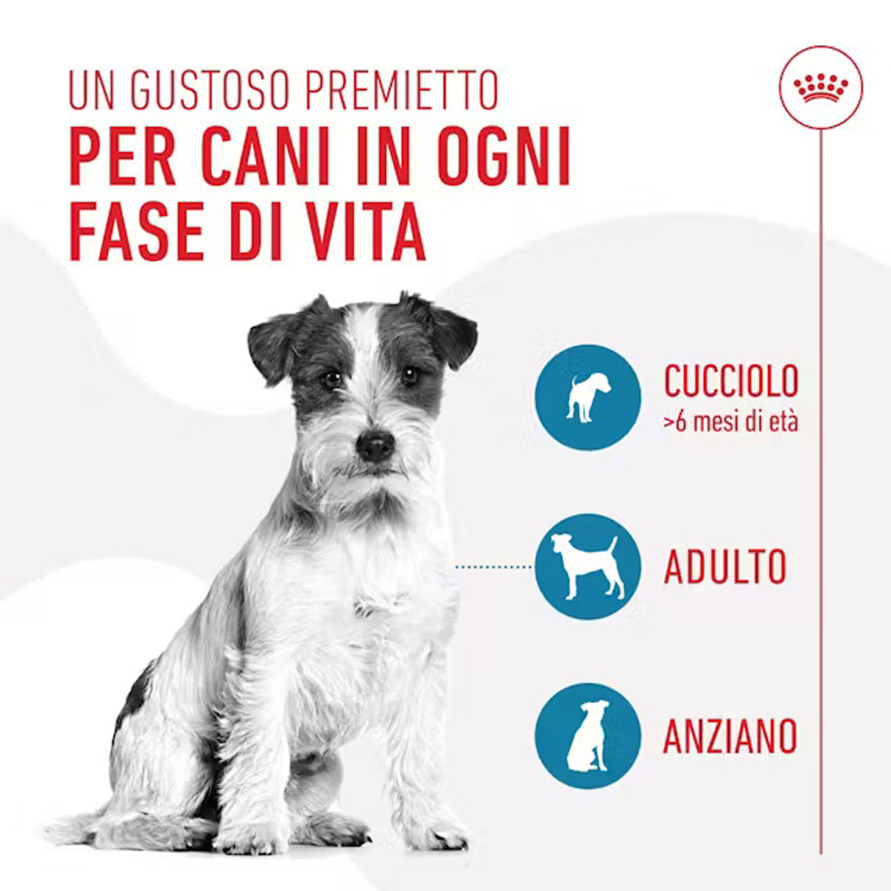 Royal Canin Training Treats 110g | Snack Addestramento Basso Contenuto Calorico