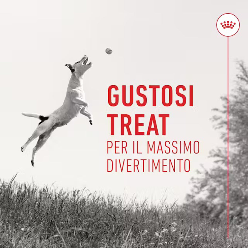 Royal Canin Training Treats 110g | Snack Addestramento Basso Contenuto Calorico