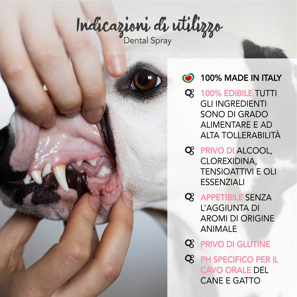 Bottiglia di dentifricio spray per cani e gatti marca Yuup da 100 ml