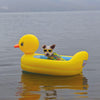 Salvagente per Cani Piccoli "Yellow Duck" 50x90cm | Corgi e Teddy - Partenopet