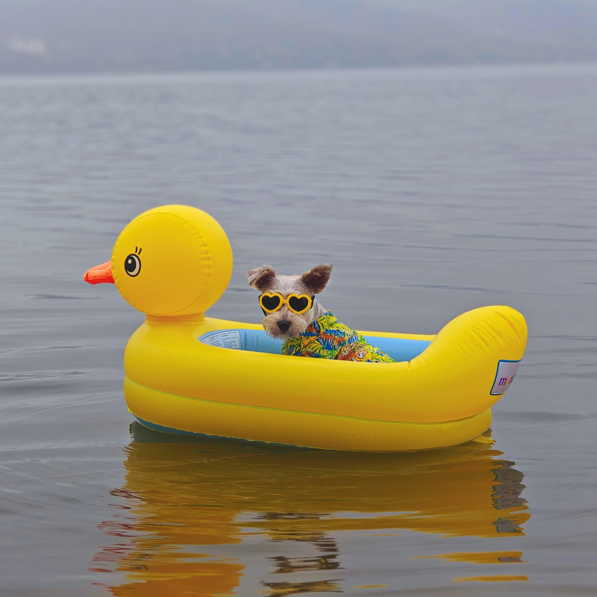 Salvagente per Cani Piccoli "Yellow Duck" 50x90cm | Corgi e Teddy - Partenopet