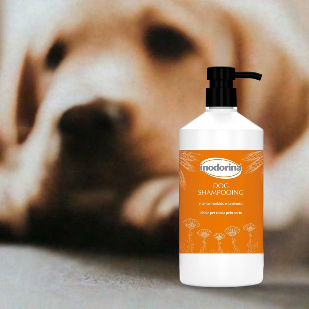 Inodorina Shampoo Rituals per Cani con Manto Corto Manto Morbido Luminoso 250ml - Partenopet