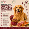 Partenopet Adult All Breeds Monoproteico Agnello e Zucca Crocchette per Cani 100% Naturali 2 kg - Partenopet