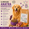 Partenopet Adult All Breeds Mono Anatra e Zucca Crocchette per Cani 100% Naturali 12 kg - Partenopet