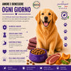 Partenopet Adult All Breeds Mono Anatra e Zucca Crocchette per Cani 100% Naturali 12 kg - Partenopet