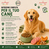 Crocchette Partenopet Adult All Breeds Maiale e Zucca 2 kg pressate a freddo per cani adulti