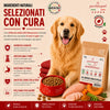 Crocchette Partenopet Adult All Breeds Pollo e Zucca 2 kg pressate a freddo per cani adulti