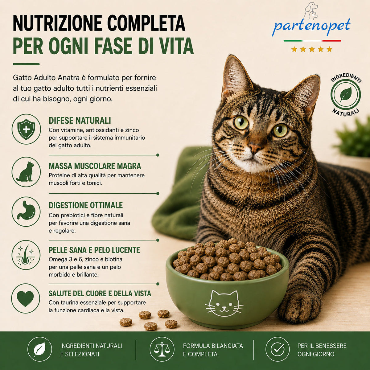 Sacco da 1,5kg crocchette Partenopet Adult Cat all'anatra, alimento naturale per gatti adulti pressato a freddo prodotto in Italia, senza conservanti né coloranti, con Taurina e Curcuma.