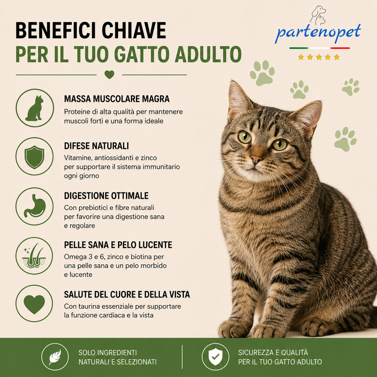 Sacco convenienza 10kg crocchette Partenopet Adult Cat al maiale, alimento naturale per gatti adulti pressato a freddo prodotto in Italia, senza conservanti né coloranti.