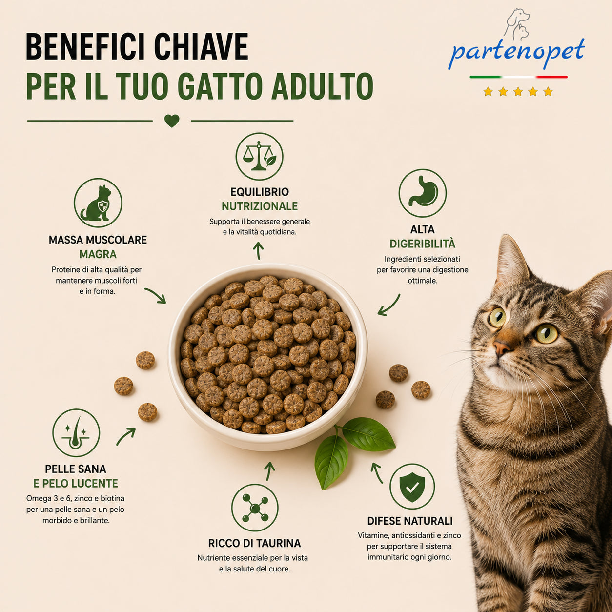 Sacco convenienza 10kg crocchette Partenopet Adult Cat al maiale, alimento naturale per gatti adulti pressato a freddo prodotto in Italia, senza conservanti né coloranti.