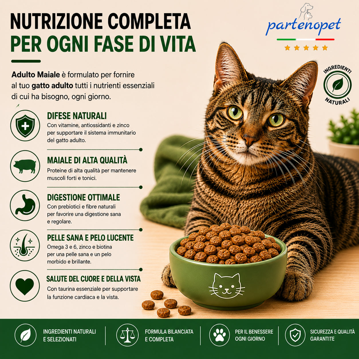 Sacco da 10 kg crocchette Partenopet Adult Cat al maiale, alimento naturale per gatti adulti pressato a freddo prodotto in Italia, senza conservanti né coloranti.