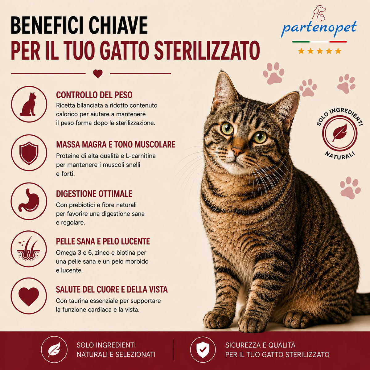 Busta di crocchette al pesce per gatti sterilizzati pressate a freddo senza conservanti e coloranti marca Partenopet da 1,5 kg