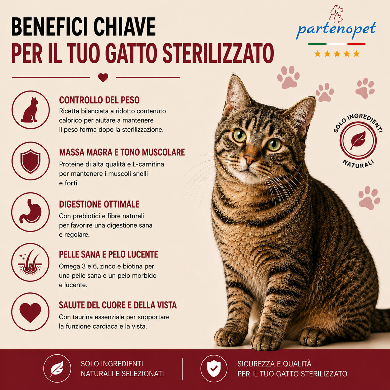 Busta di crocchette al pesce per gatti sterilizzati pressate a freddo senza conservanti e coloranti marca Partenopet da 1,5 kg