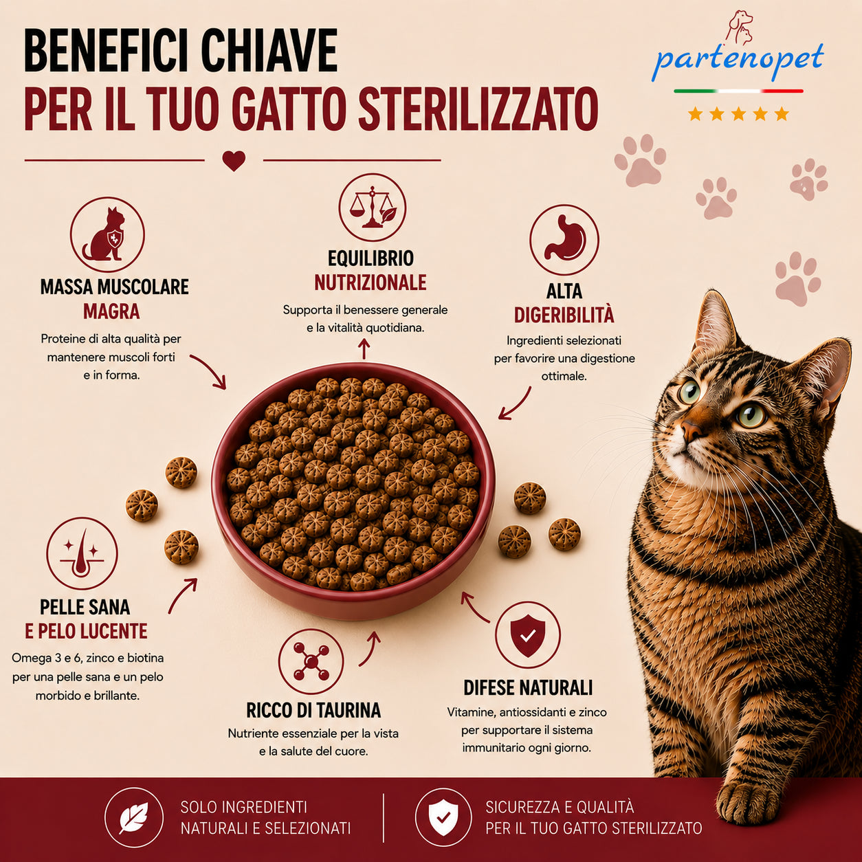 Busta di crocchette al pesce per gatti sterilizzati pressate a freddo senza conservanti e coloranti marca Partenopet da 1,5 kg