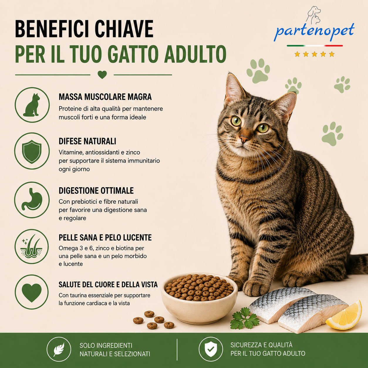Sacco scorta 10kg crocchette Partenopet Adult Cat al pesce, alimento naturale per gatti adulti pressato a freddo prodotto in Italia, senza conservanti né coloranti, con Taurina e Curcuma.