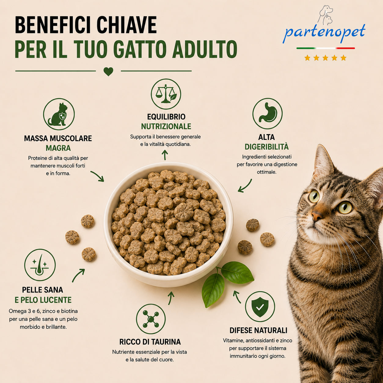 Sacco scorta 10kg crocchette Partenopet Adult Cat al pesce, alimento naturale per gatti adulti pressato a freddo prodotto in Italia, senza conservanti né coloranti, con Taurina e Curcuma.