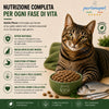 Sacco da 10 kg crocchette Partenopet Adult Cat al pesce, alimento naturale per gatti adulti pressato a freddo prodotto in Italia, senza conservanti né coloranti, con Taurina e Curcuma.