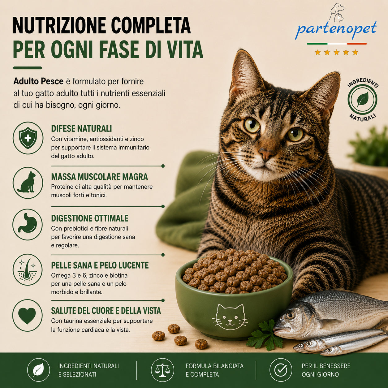 Sacco da 10 kg crocchette Partenopet Adult Cat al pesce, alimento naturale per gatti adulti pressato a freddo prodotto in Italia, senza conservanti né coloranti, con Taurina e Curcuma.