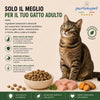 Sacco da 1,5kg crocchette Partenopet Adult Cat al pollo, alimento naturale per gatti adulti pressato a freddo prodotto in Italia, senza conservanti né coloranti, con Taurina e Curcuma.