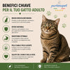 Sacco da 1,5kg crocchette Partenopet Adult Cat al pollo, alimento naturale per gatti adulti pressato a freddo prodotto in Italia, senza conservanti né coloranti, con Taurina e Curcuma.