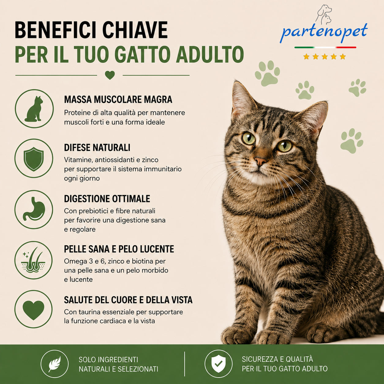 Sacco da 1,5kg crocchette Partenopet Adult Cat al pollo, alimento naturale per gatti adulti pressato a freddo prodotto in Italia, senza conservanti né coloranti, con Taurina e Curcuma.