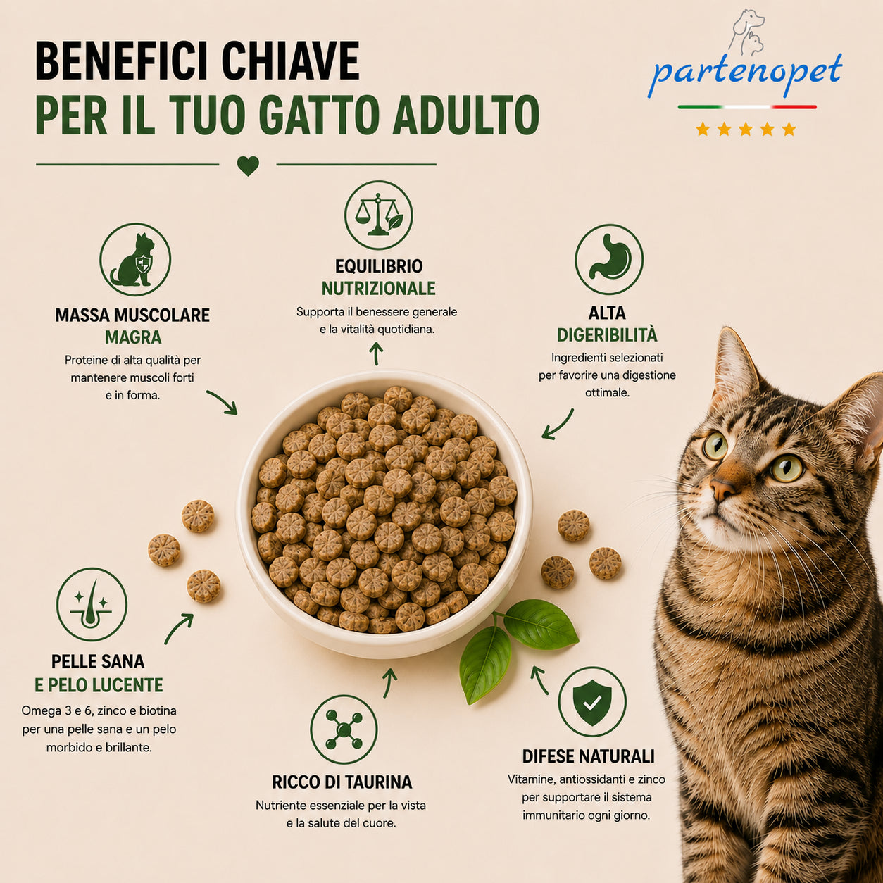 Sacco da 1,5kg crocchette Partenopet Adult Cat al pollo, alimento naturale per gatti adulti pressato a freddo prodotto in Italia, senza conservanti né coloranti, con Taurina e Curcuma.