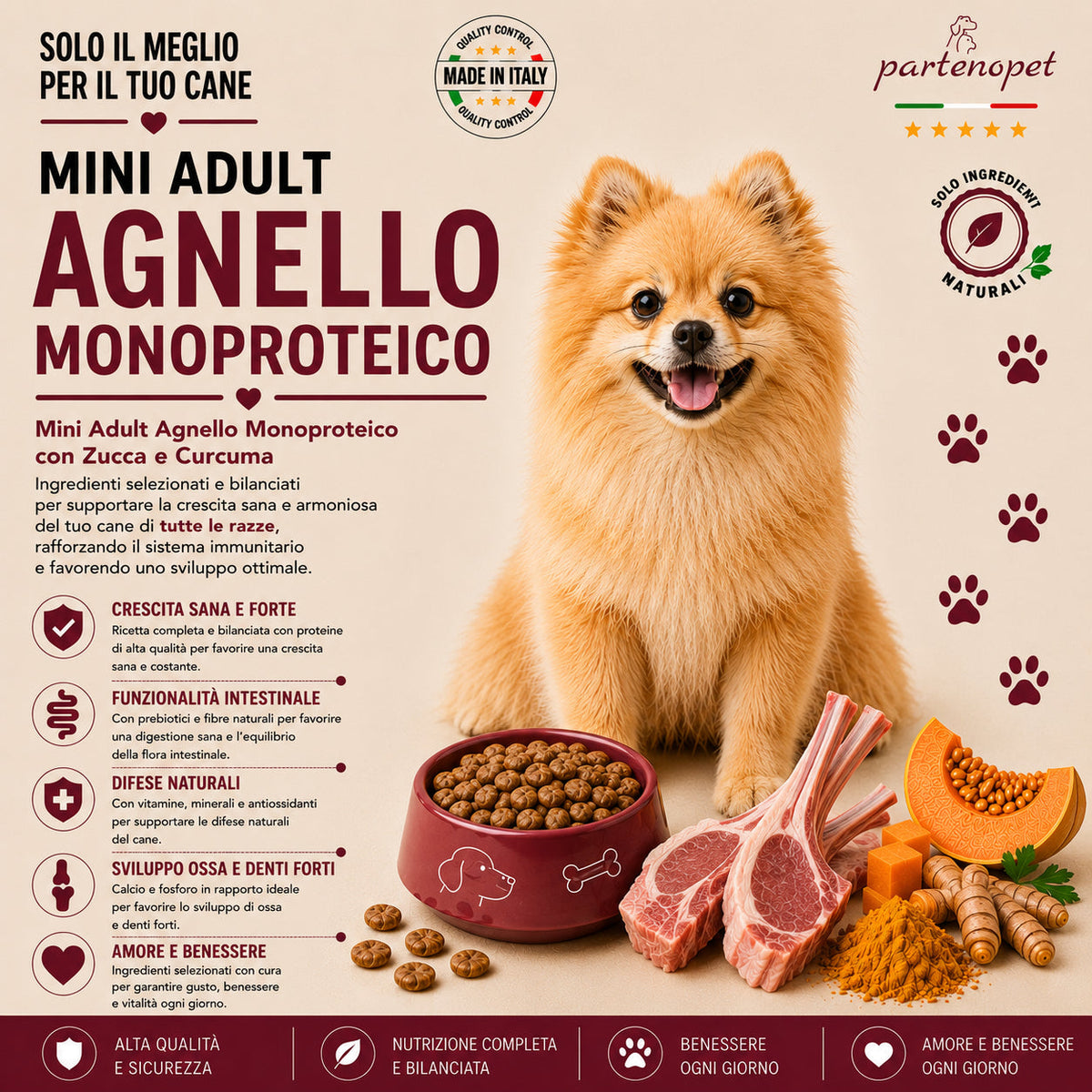 Partenopet Adult Mini Monoproteico Agnello e Zucca Crocchette per Cani 100% Naturali 12 kg - Partenopet