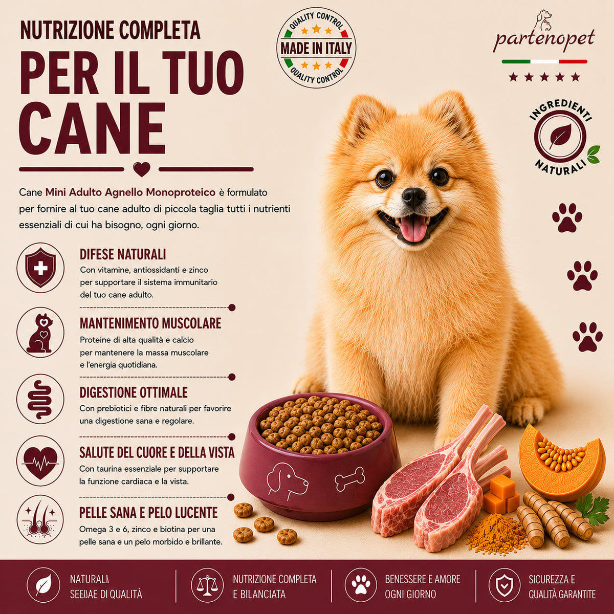 Partenopet Adult Mini Monoproteico Agnello e Zucca Crocchette per Cani 100% Naturali 12 kg - Partenopet