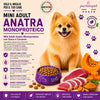 Partenopet Adult Mini Monoproteico Anatra e Zucca Crocchette per Cani 100% Naturali 12kg - Partenopet