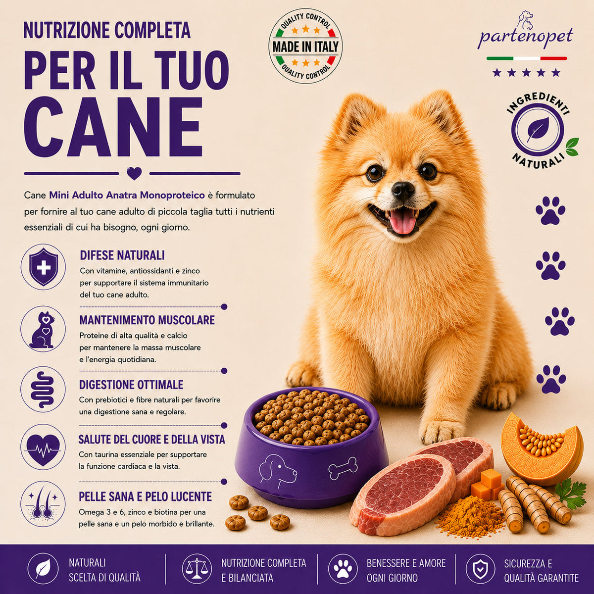 Partenopet Adult Mini Monoproteico Anatra e Zucca Crocchette per Cani 100% Naturali 12kg - Partenopet