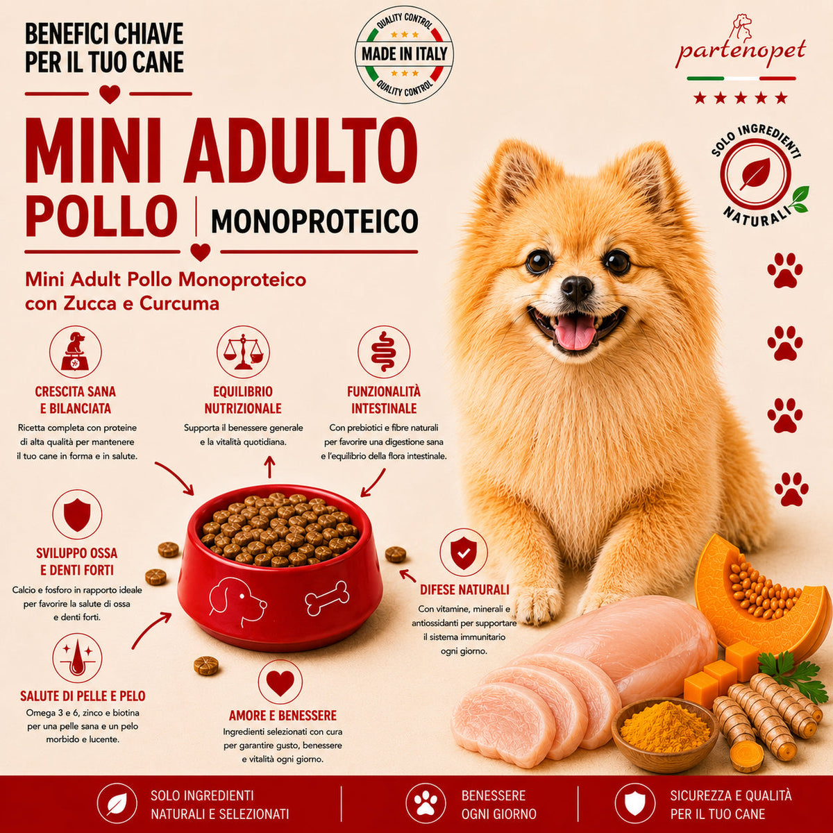 Crocchette Partenopet Adult Mini Pollo e Zucca 2 kg pressate a freddo per cani di piccola taglia