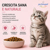 Partenopet Cat Kitten Maiale Crocchette per Gatti Cuccioli pressate a freddo 1,5 kg - Partenopet