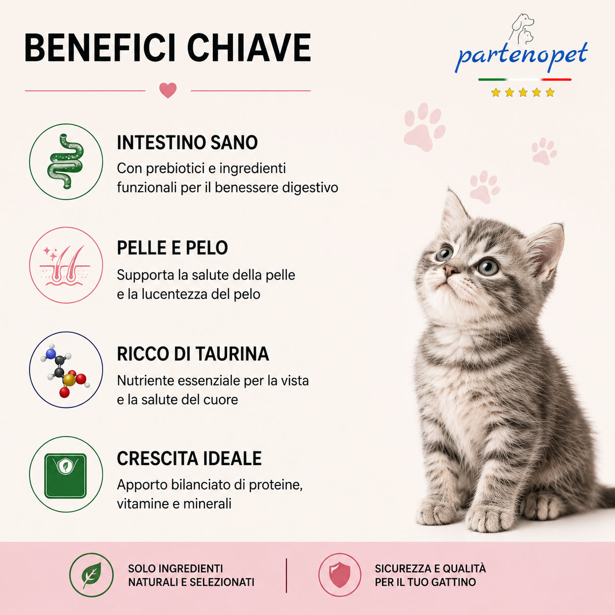 Partenopet Cat Kitten Maiale Crocchette per Gatti Cuccioli pressate a freddo 1,5 kg - Partenopet