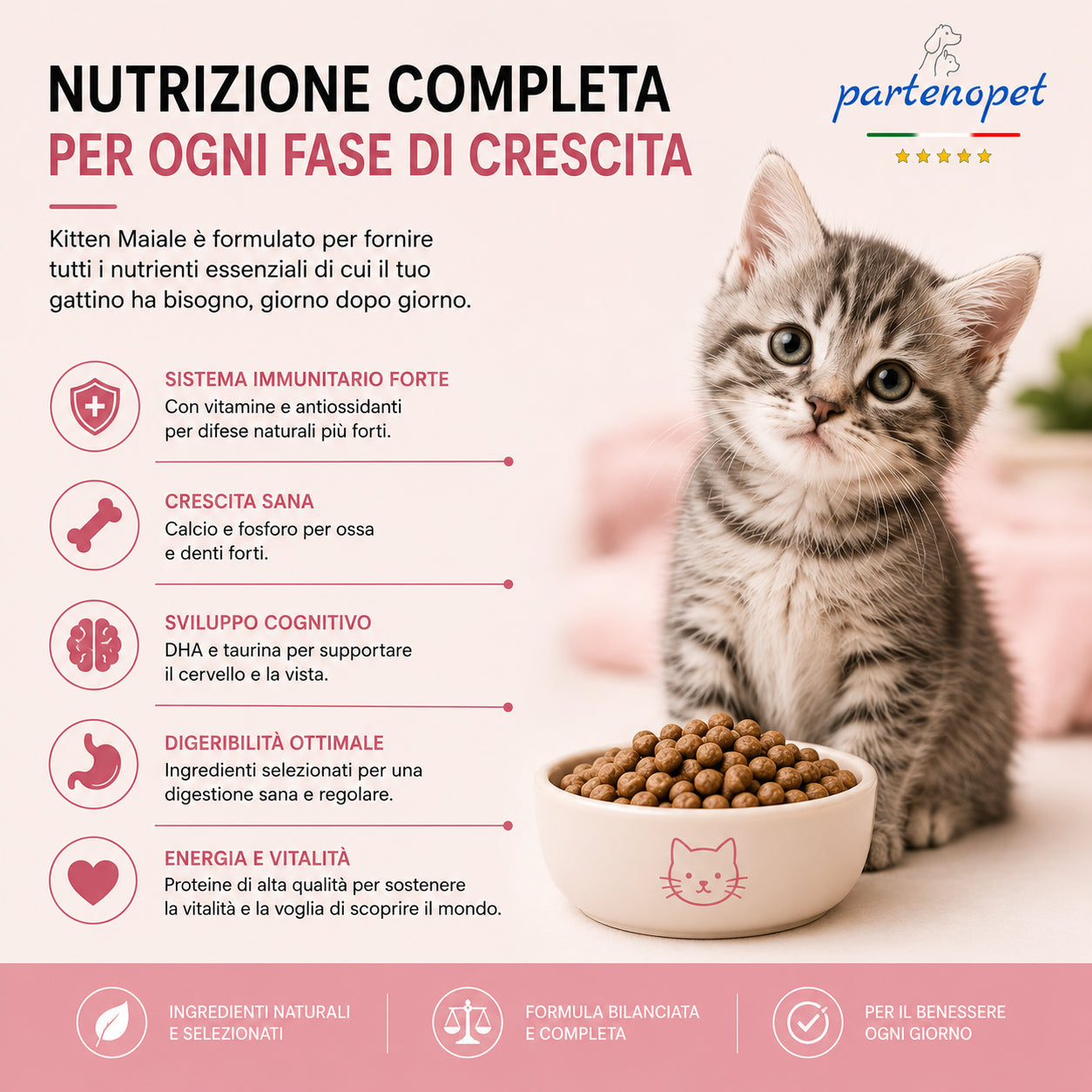 Partenopet Cat Kitten Maiale Crocchette per Gatti Cuccioli pressate a freddo 1,5 kg - Partenopet