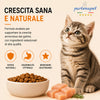 Busta di crocchette al pollo per gatti cuccioli pressate a freddo senza conservanti e coloranti marca Partenopet da 1,5 kg